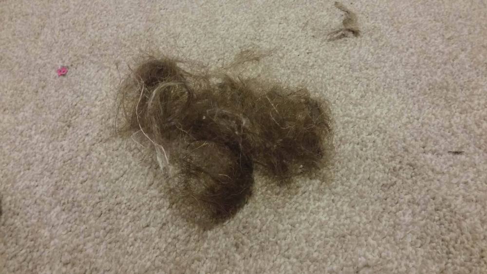 Hairy Pubic Mound 5