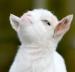 johnsmith96's profile picture